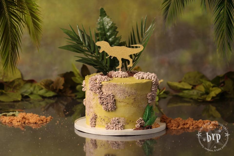Clearwater Fl,  Custom Dinosaur Smash Cake